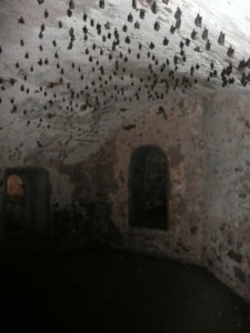 Room where ammunition was kept, now occupied by bats